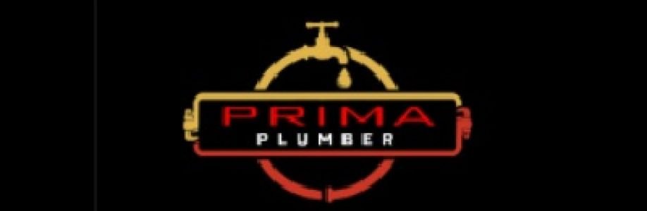 primaplumber9 Cover Image