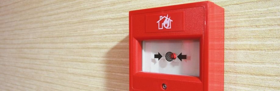 Safe I.S. Ltd Cover Image