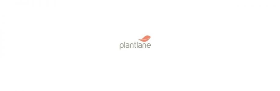 Plantlane Cover Image