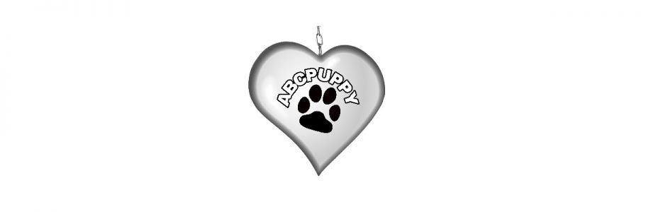 ABCPUPPY Cover Image