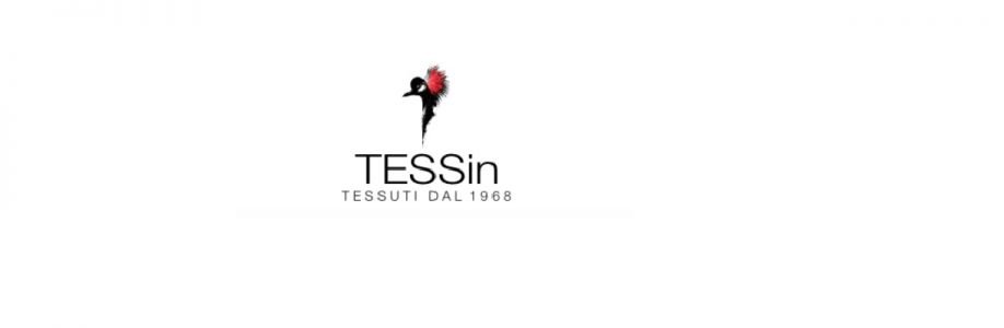 TESSin Cover Image