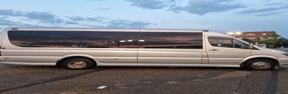 minibusing Cover Image