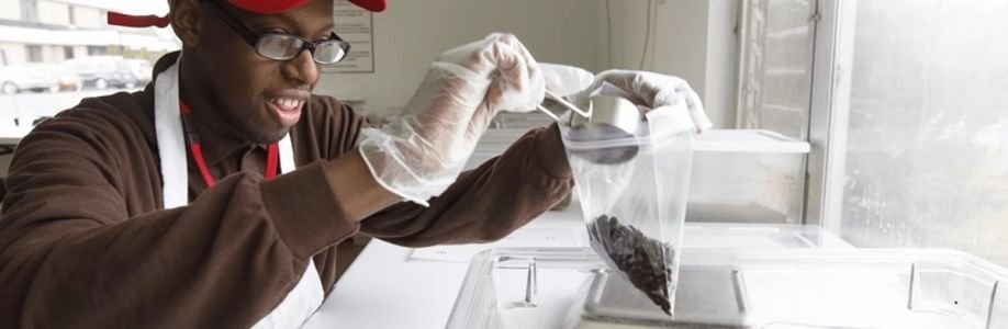 georgettes Cover Image