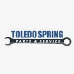 Toledo Spring Profile Picture