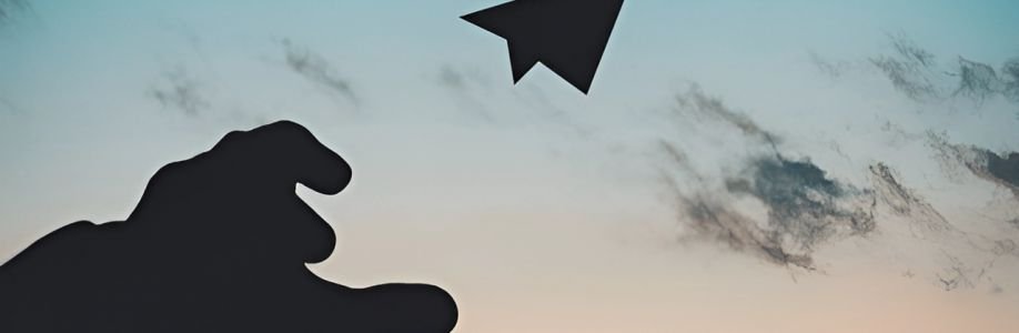 augustineandco Cover Image