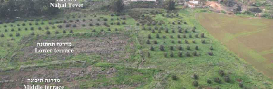 Biblical Archaeology Maps and findings Cover Image