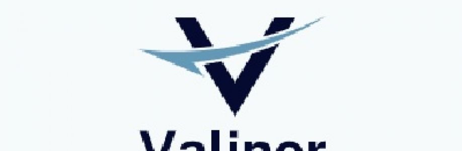 valinorfinance Cover Image
