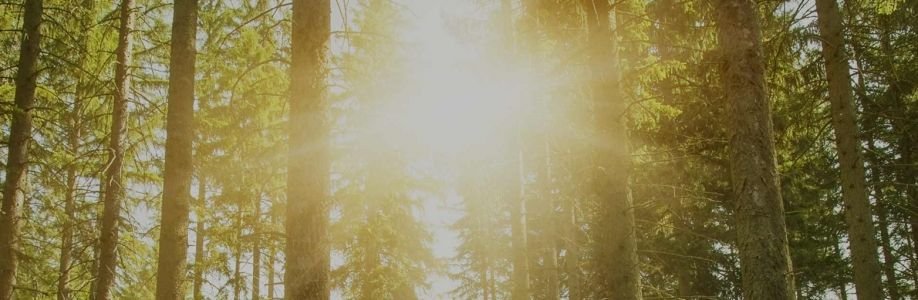 SoCalDBT Cover Image