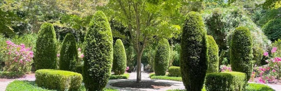 AJA Landscaping Cover Image