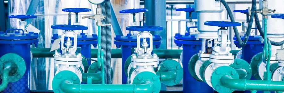 pecovalves Cover Image