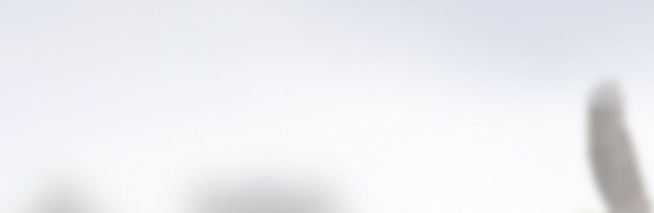 d100media89 Cover Image