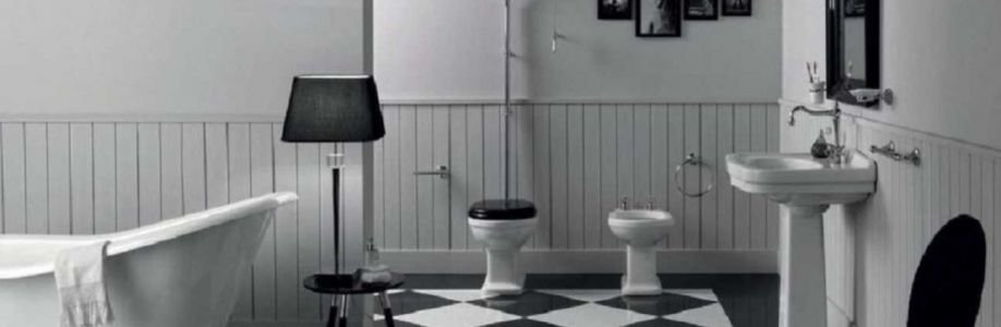 Saniterica Cover Image