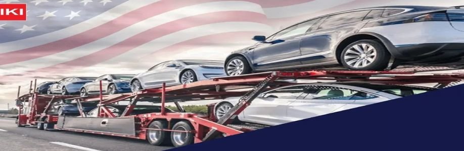 NIKI AUTO TRANSPORT Cover Image