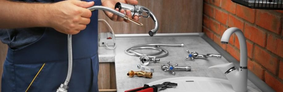 Der Sanitär Service Cover Image