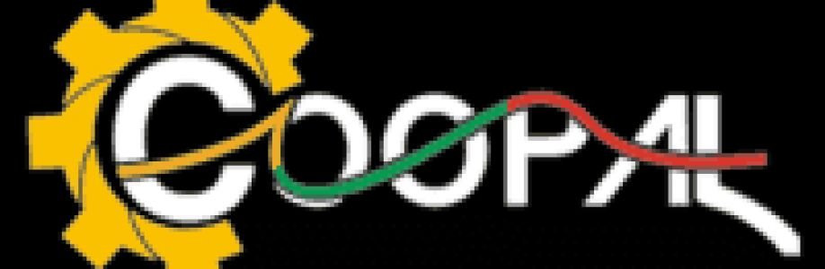 coopalpower6 Cover Image